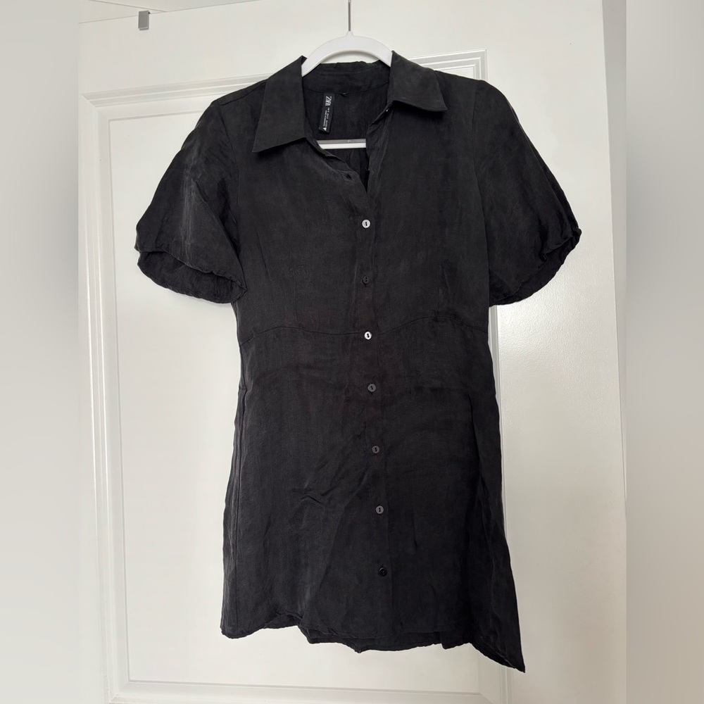 Zara Button-Down Dress